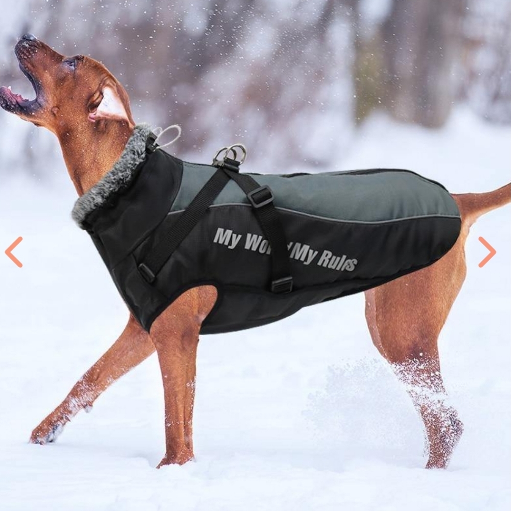 BNWOT dog Harness winter jacket - Picture 4 of 12